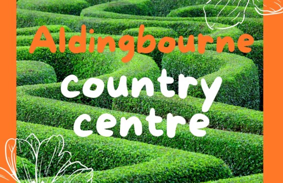 Aldingbourne country centre. Maze image. Day out. Holiday.